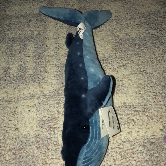 Blue whale stuffed animal - Picture 3 of 3